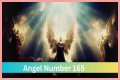 
ANGEL NUMBER 165

