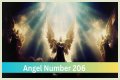 
ANGEL NUMBER 206
