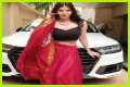 Sherlyn Chopra - Bio, Age, Wiki, Facts and Family