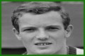 Tom Okker (Tennis Player) - Age, Birthday, Bio, Facts, Family, Net Worth, Height & More