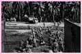 WWII's Most Daring Raids - Smithsonian Channel